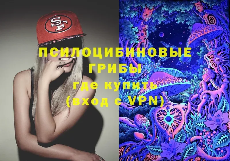 MEGA ССЫЛКА  купить наркотик  Краснообск  Псилоцибиновые грибы Psilocybine cubensis 